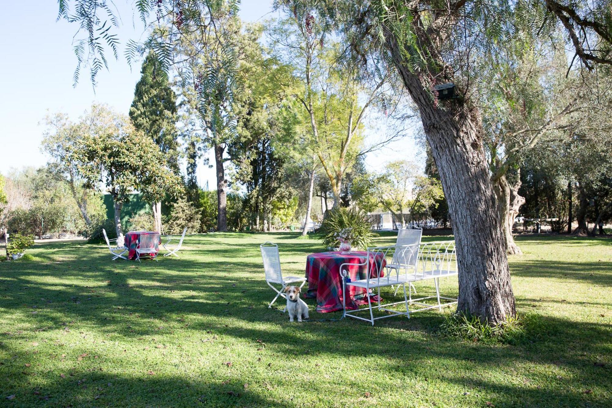 Villa Cortijo Rural La Mariscala Jerez de la Frontera Esterno foto