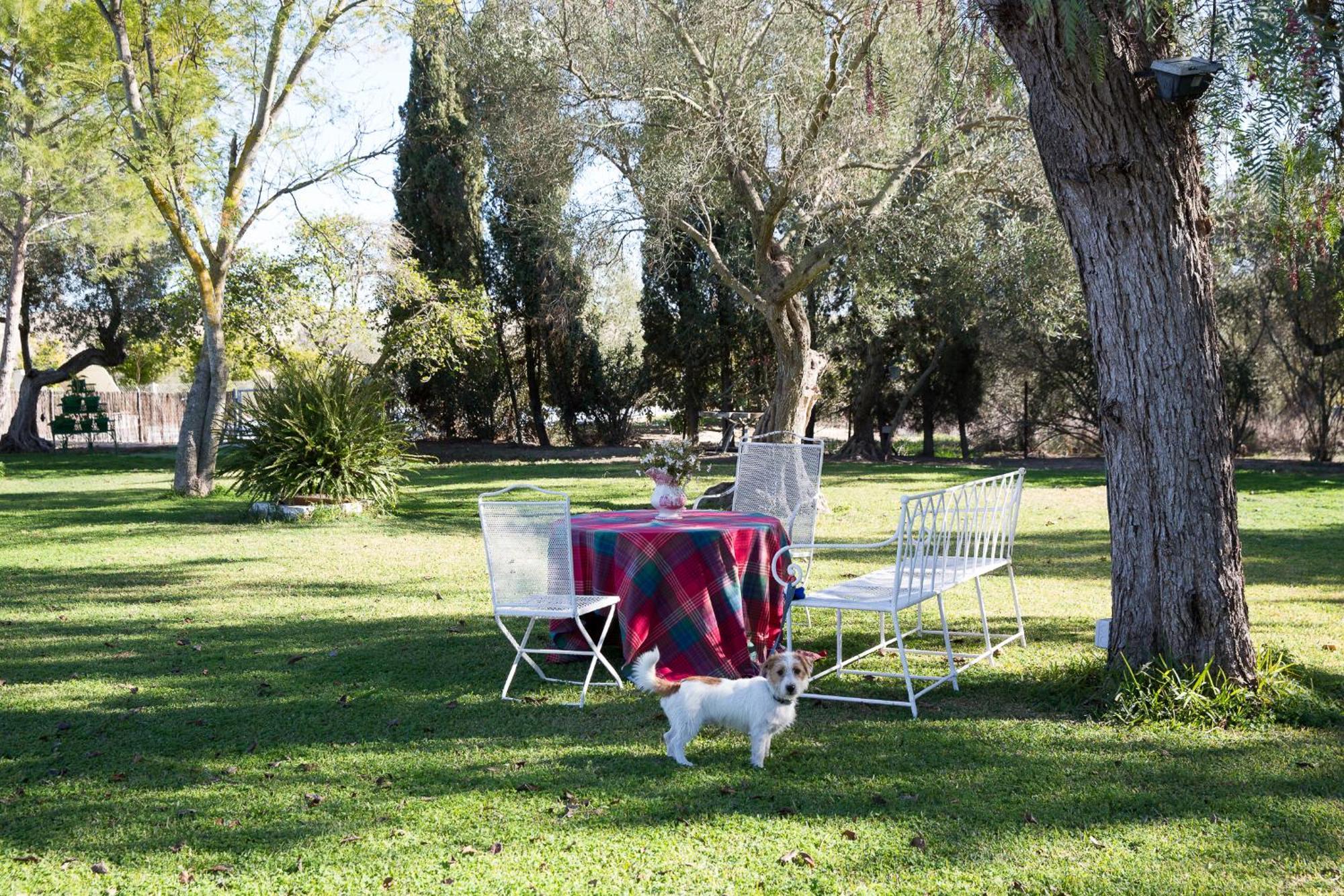 Villa Cortijo Rural La Mariscala Jerez de la Frontera Esterno foto